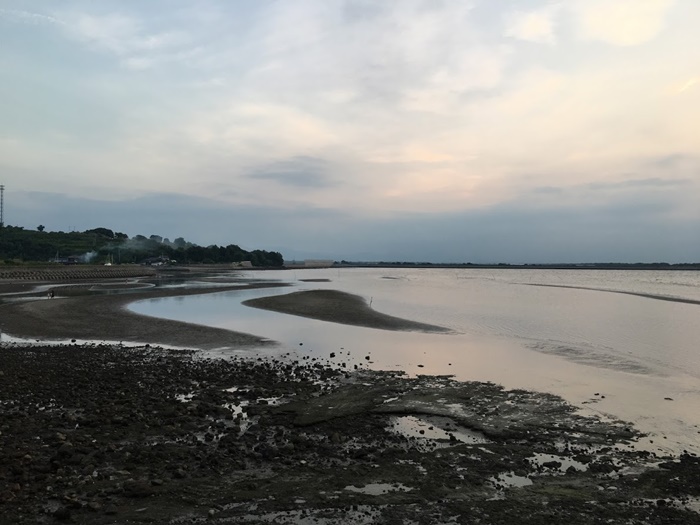 真玉海岸の干潟