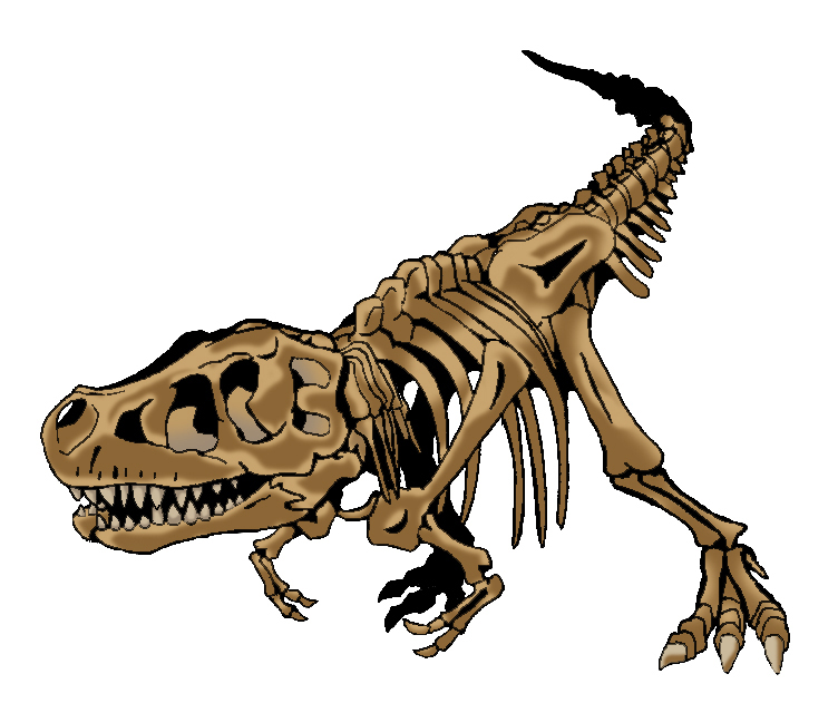 恐竜の化石のイラスト