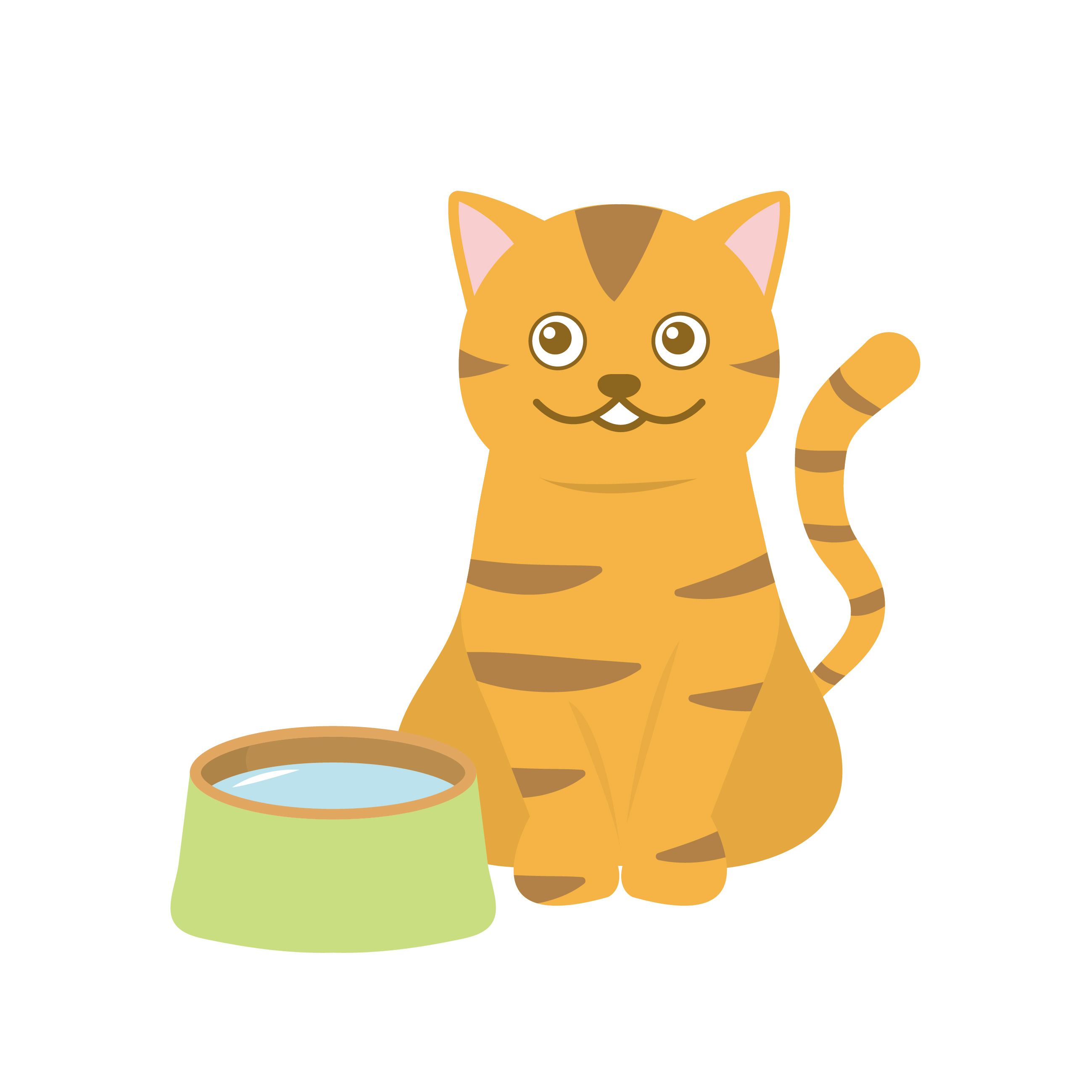 猫と飲み水のイラスト