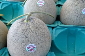 メロンの食べ頃の見分け方。切ったメロンが固い時、追熟はできる?