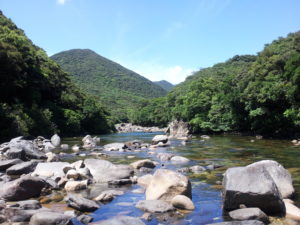 世界遺産の屋久島へ行ってみたい！飛行機と船でのアクセスはどっちがいい？
