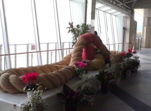 川内大綱引はいつ？2017年の日程と見どころを紹介！アクセスは？