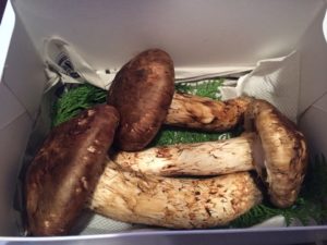 松茸の美味しい調理法は?下処理と虫食いは洗う?お得に松茸を食べるには?