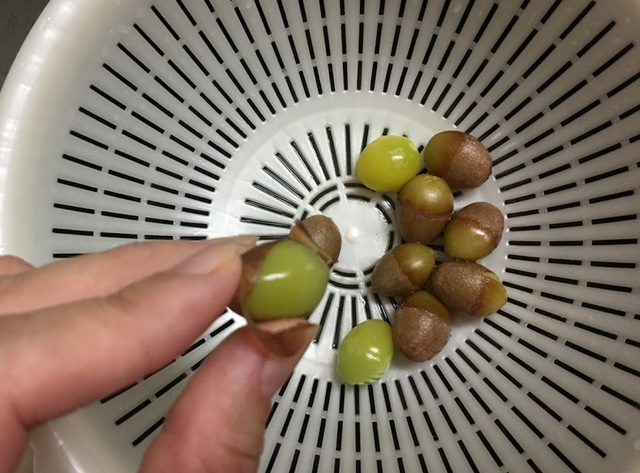 茹でたぎんなんの薄皮をむく