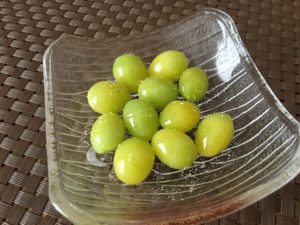 ぎんなんの美味しい食べ方、フライパンで炒る、茹でる、レンジ!保存方法は?