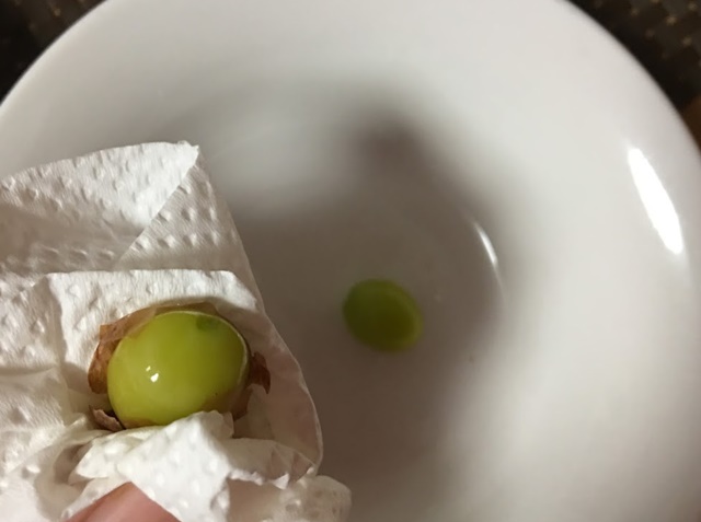 炒ったぎんなんの薄皮を取る