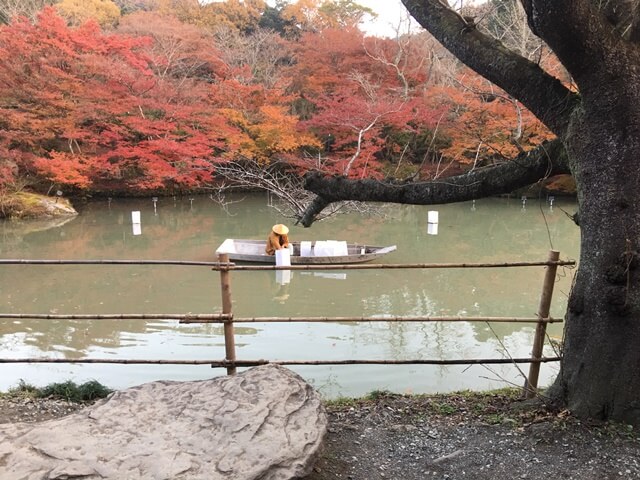 御船山楽園のライトアップ準備