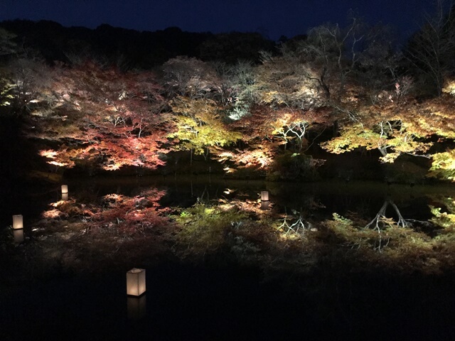 御船山楽園の紅葉ライトアップ