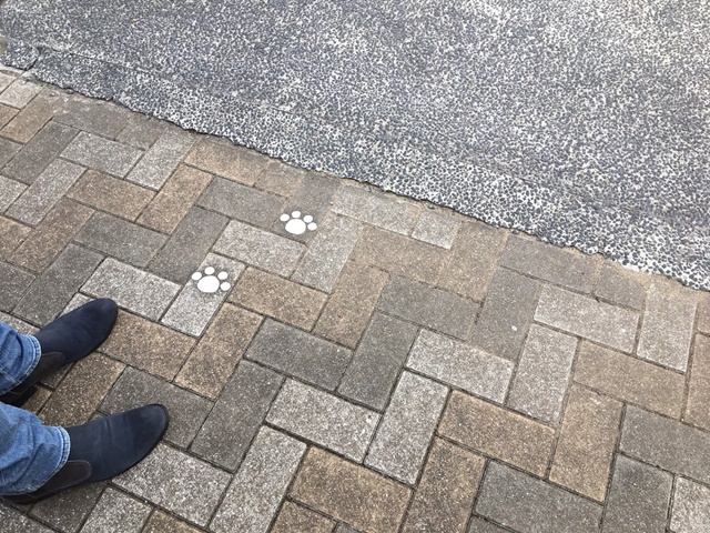 宝当神社へ案内する猫の足跡