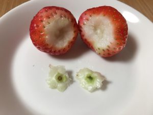 いちごのヘタの取り方は？いつ取る？洗うタイミングは？どっちから食べると美味しいの？