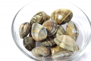アサリの砂抜き50度洗いしたら死んだ?!殻が開いたら食べていい?見分け方は