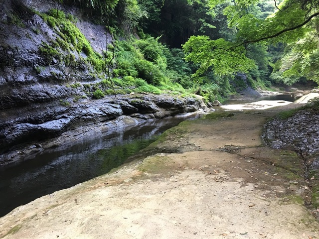 東椎屋の滝への道