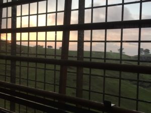 大分のナイトサファリに行ってみた！予約や料金、おすすめの時間帯は？