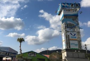 イルカランドは穴場な水族館?!お得な割引、周辺のおすすめスポットは?