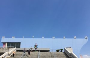 うみたまごの割引や前売り券、年間パスポートの特典!お得なのはどれ?