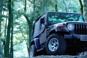 乗り物酔いは三半規管が弱いのが原因？鍛える方法や酔わない人との違いは？