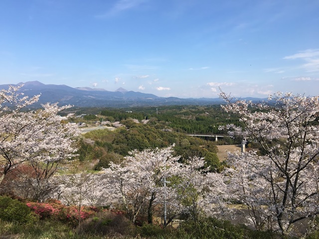 霧島連山と桜