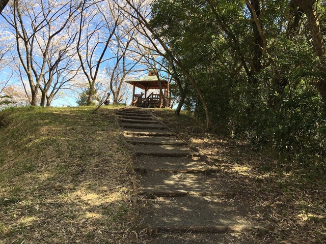 花立公園のベンチ