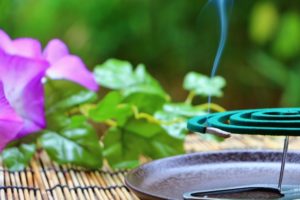 蚊を今すぐ退治!寝ている時、家にあるもので刺されないようにする方法は?