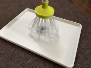 家に入ってきたクモなど嫌な虫を殺さず捕まえて外に逃がす方法!